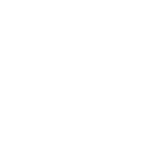 Special fares icon